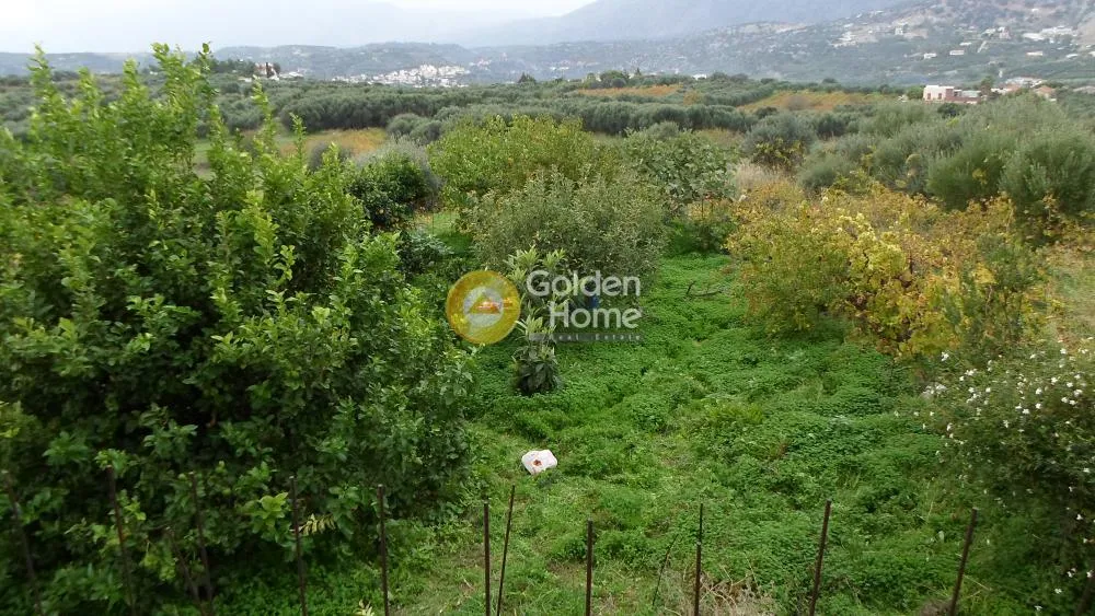 Maisonette 225m²  - 5