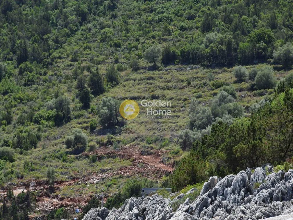 Land Parcel 10010m²  - 2