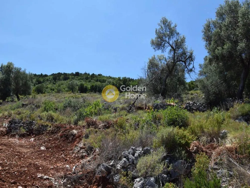 Land Parcel 10010m²  - 5