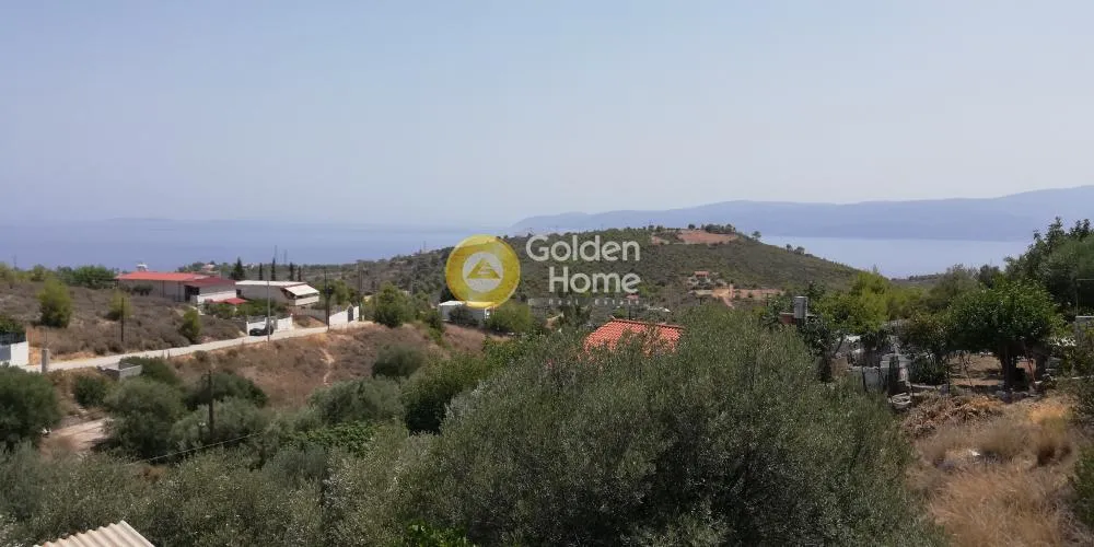 Γκαρσονιέρα 31τ.μ.  - 3