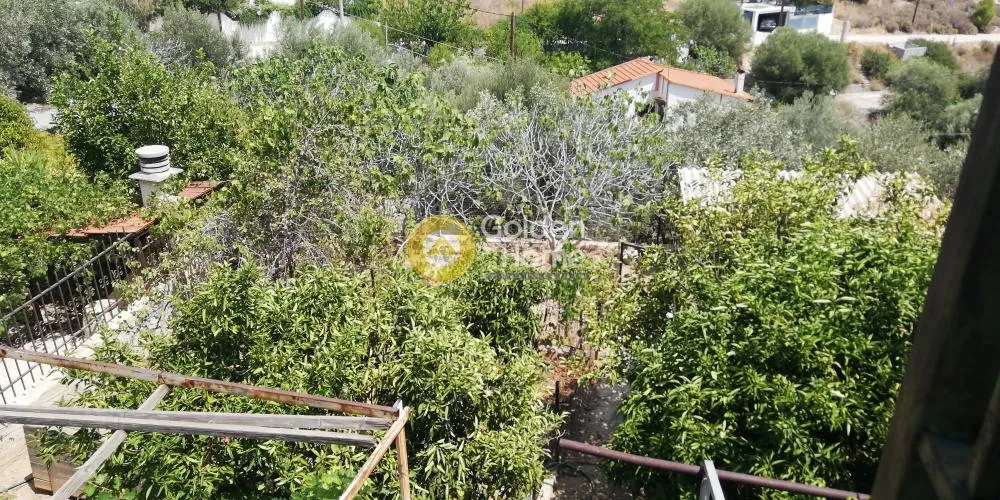 Γκαρσονιέρα 31τ.μ.  - 4