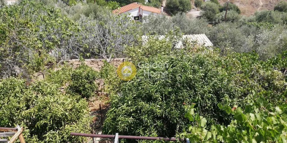 Γκαρσονιέρα 31τ.μ.  - 5