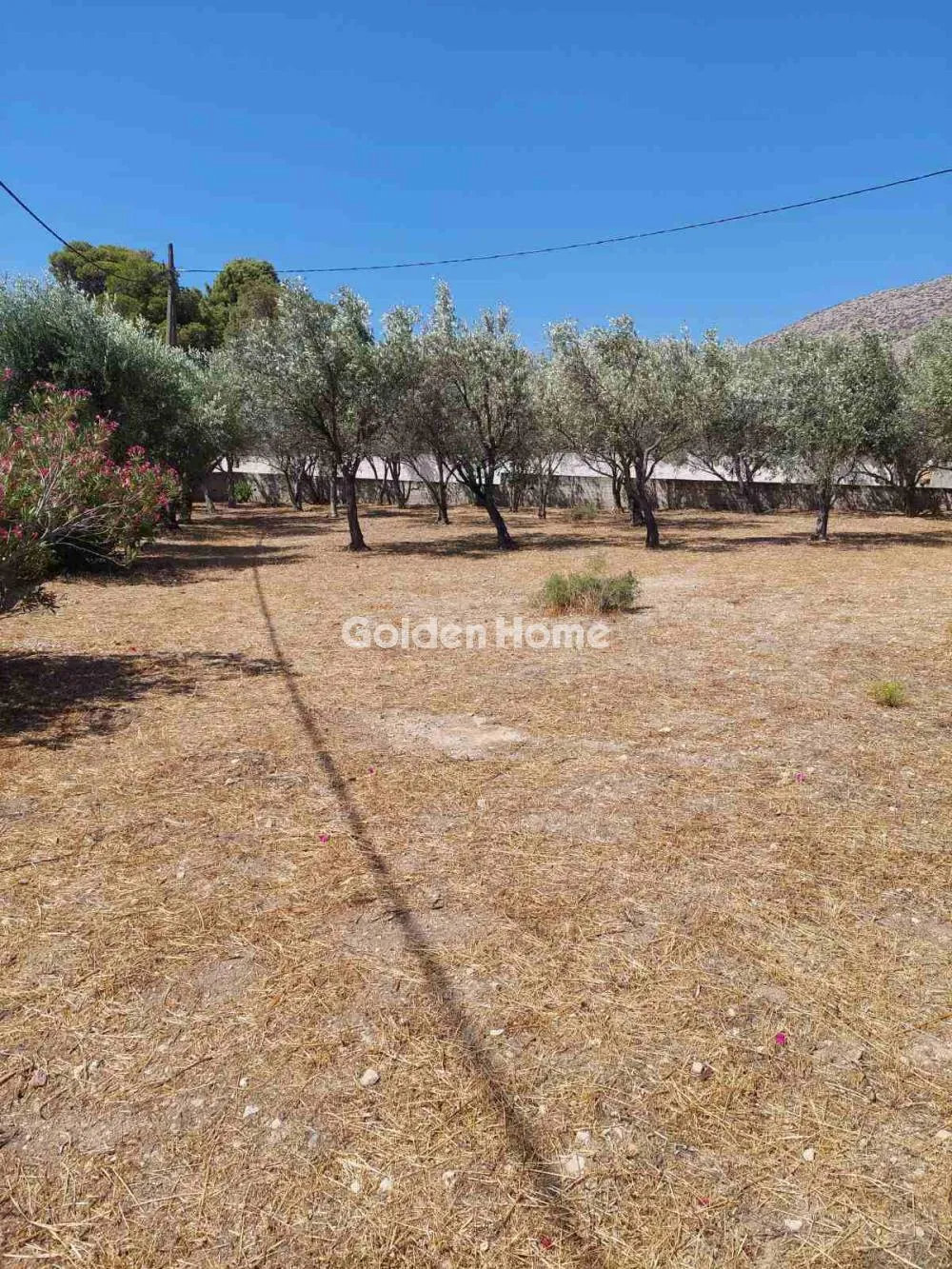 Αγροτεμάχιο 697τ.μ.  - 3