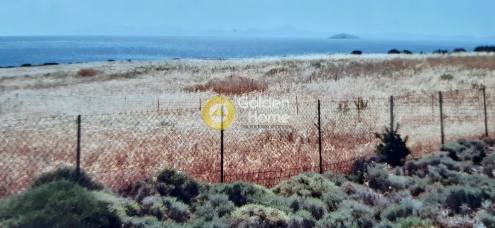 Αγροτεμάχιο 5460τ.μ.  - 3
