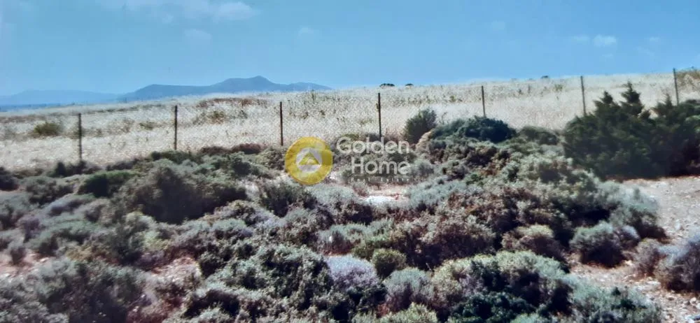 Αγροτεμάχιο 5460τ.μ.  - 4