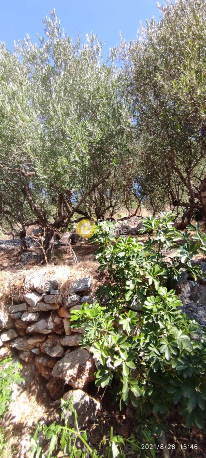 Μονοκατοικία 220τ.μ.  - 3