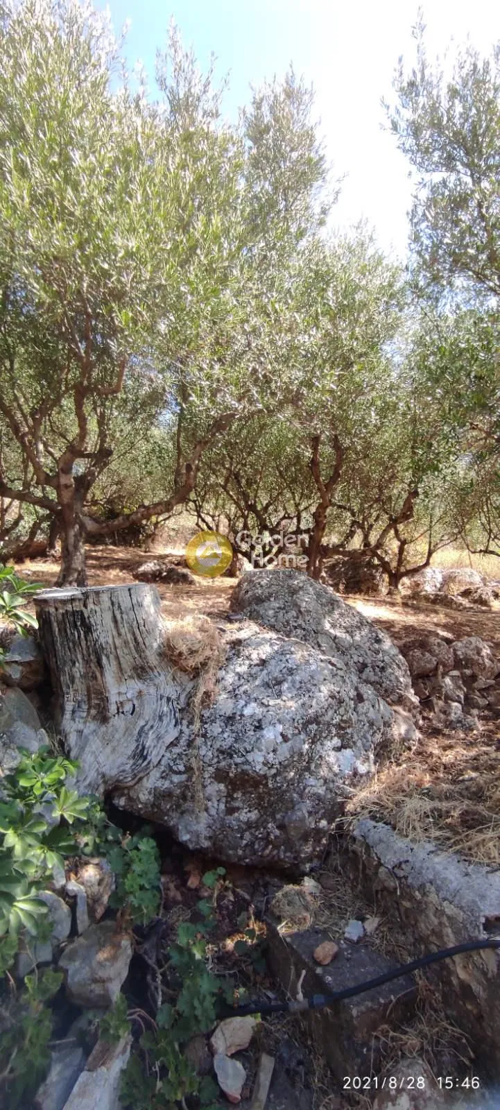 Μονοκατοικία 220τ.μ.  - 4