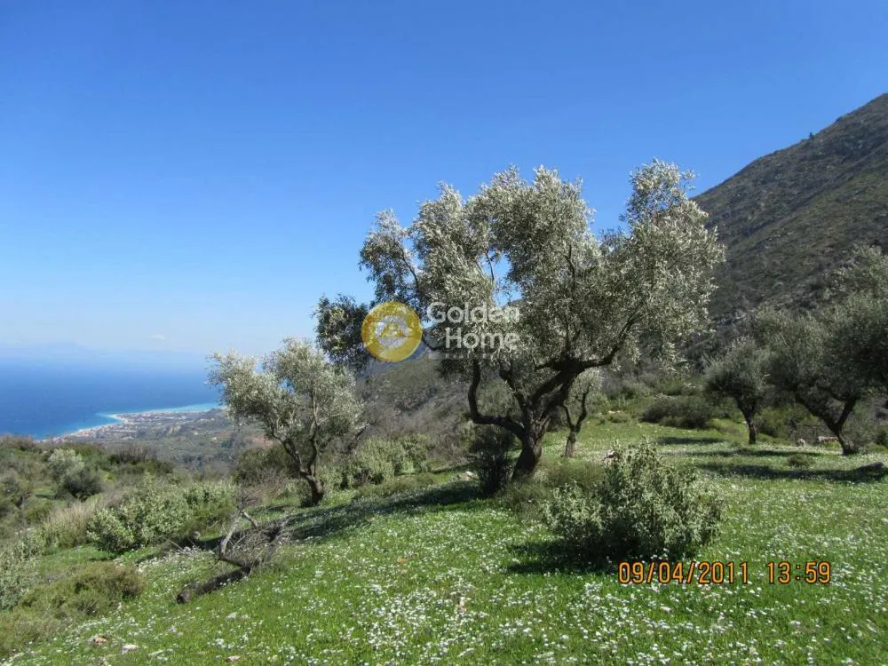 Άλλο.. 7918τ.μ.  - 2