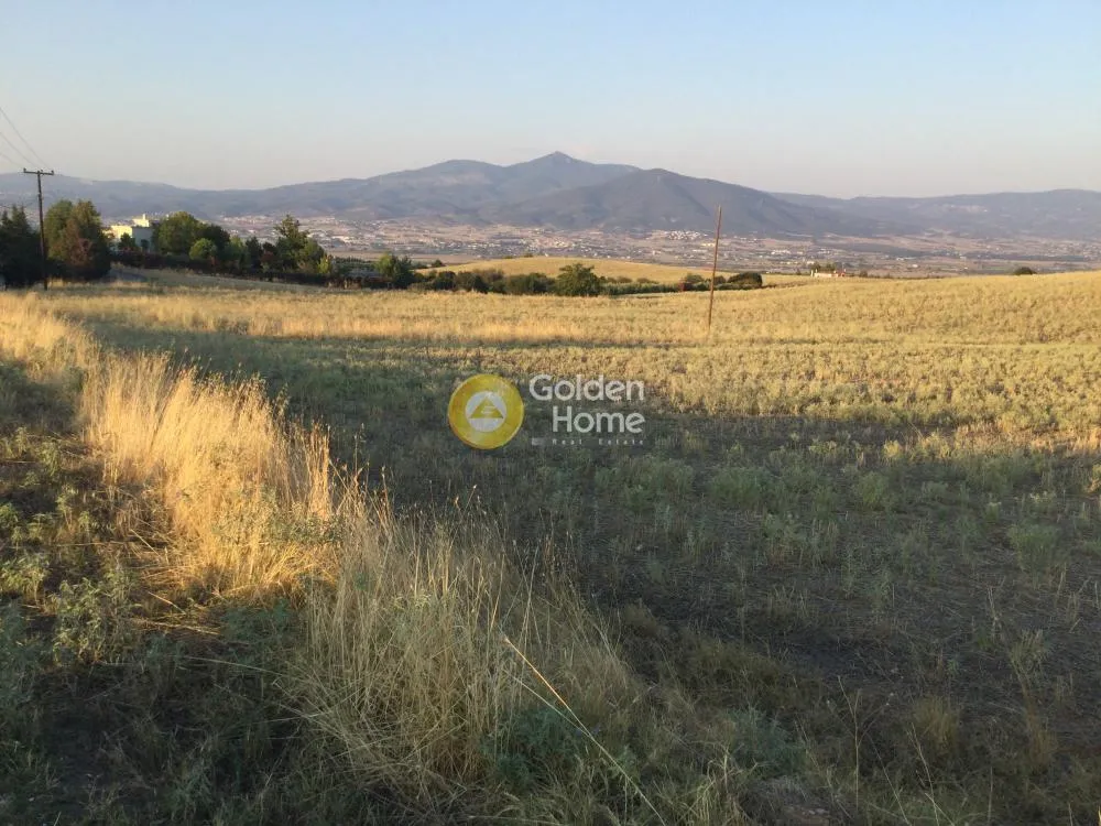 Αγροτεμάχιο 6804τ.μ.  - 2