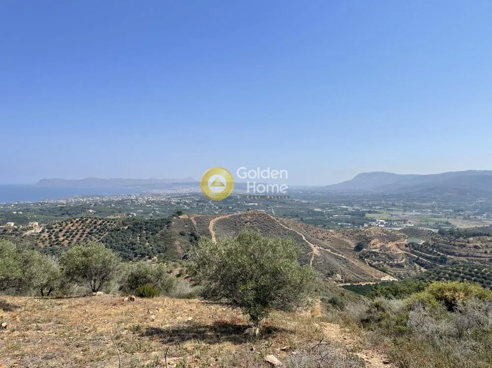 Οικόπεδο 54761τ.μ.  - 2