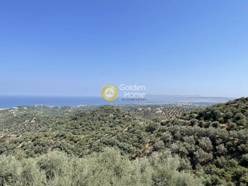 Οικόπεδο 54761τ.μ.  - 3