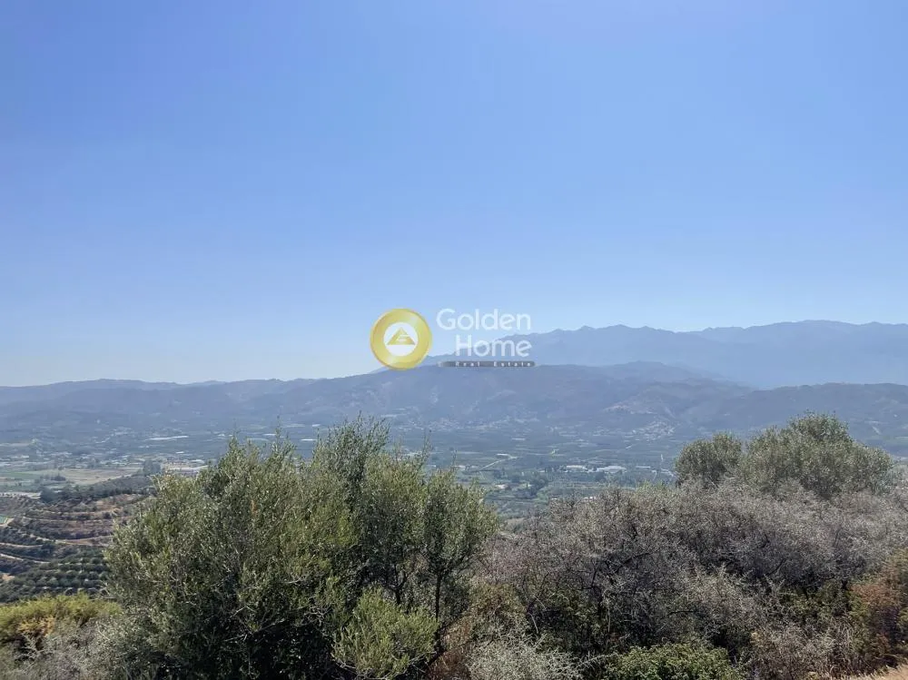 Οικόπεδο 54761τ.μ.  - 4