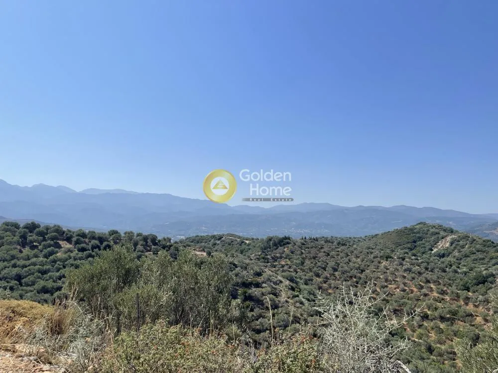 Οικόπεδο 54761τ.μ.  - 5