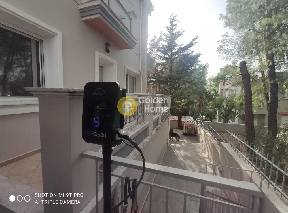Detached house 463m²  - 5