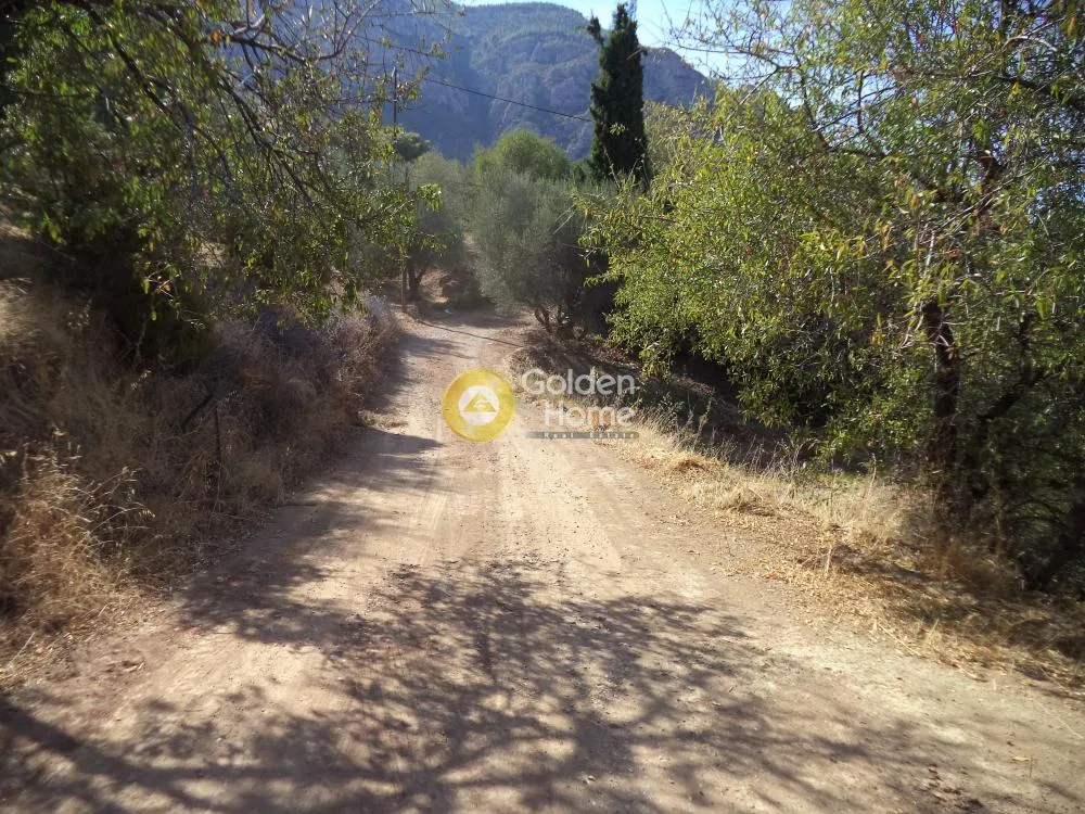 Αγροτεμάχιο 6900τ.μ.  - 2