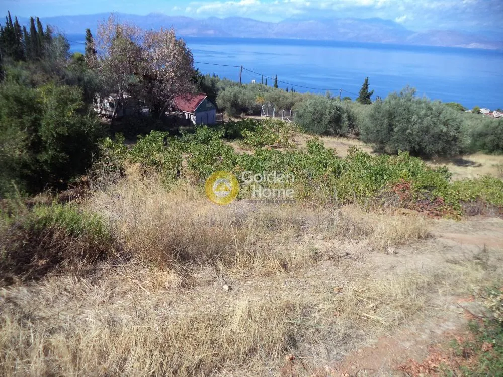 Αγροτεμάχιο 6900τ.μ.  - 3