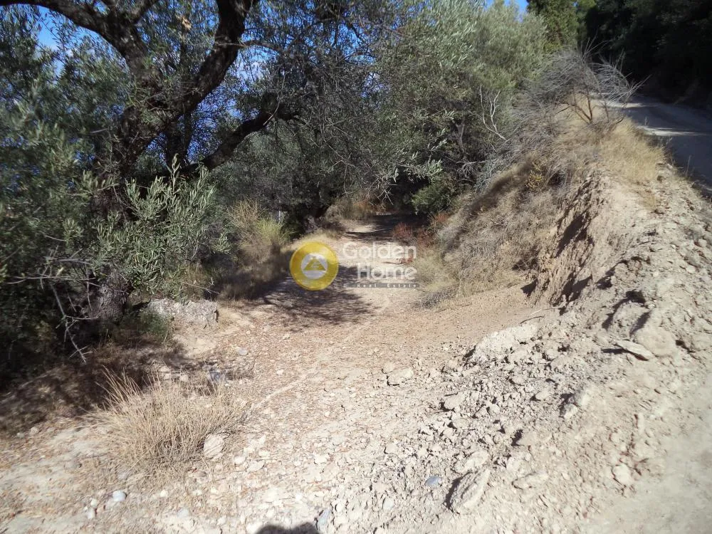 Αγροτεμάχιο 6900τ.μ.  - 4