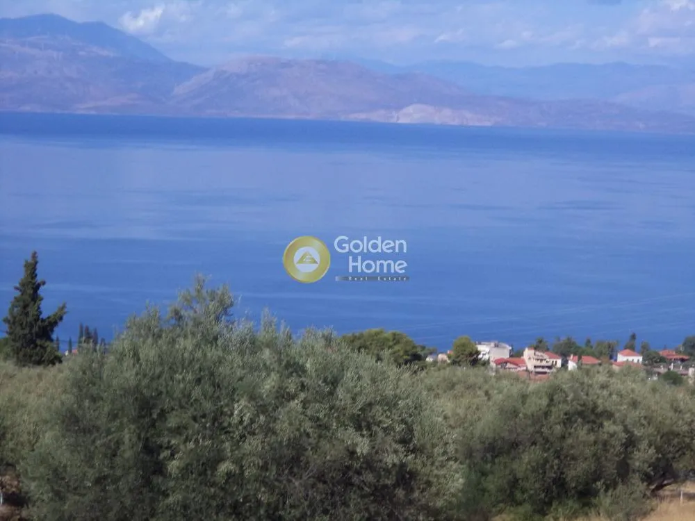 Αγροτεμάχιο 6900τ.μ.  - 5