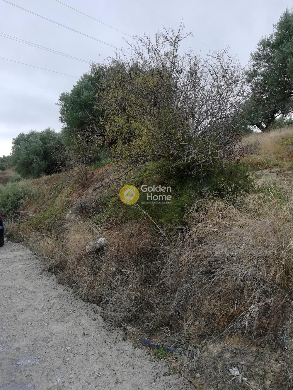 Αγροτεμάχιο 3500τ.μ.  - 3