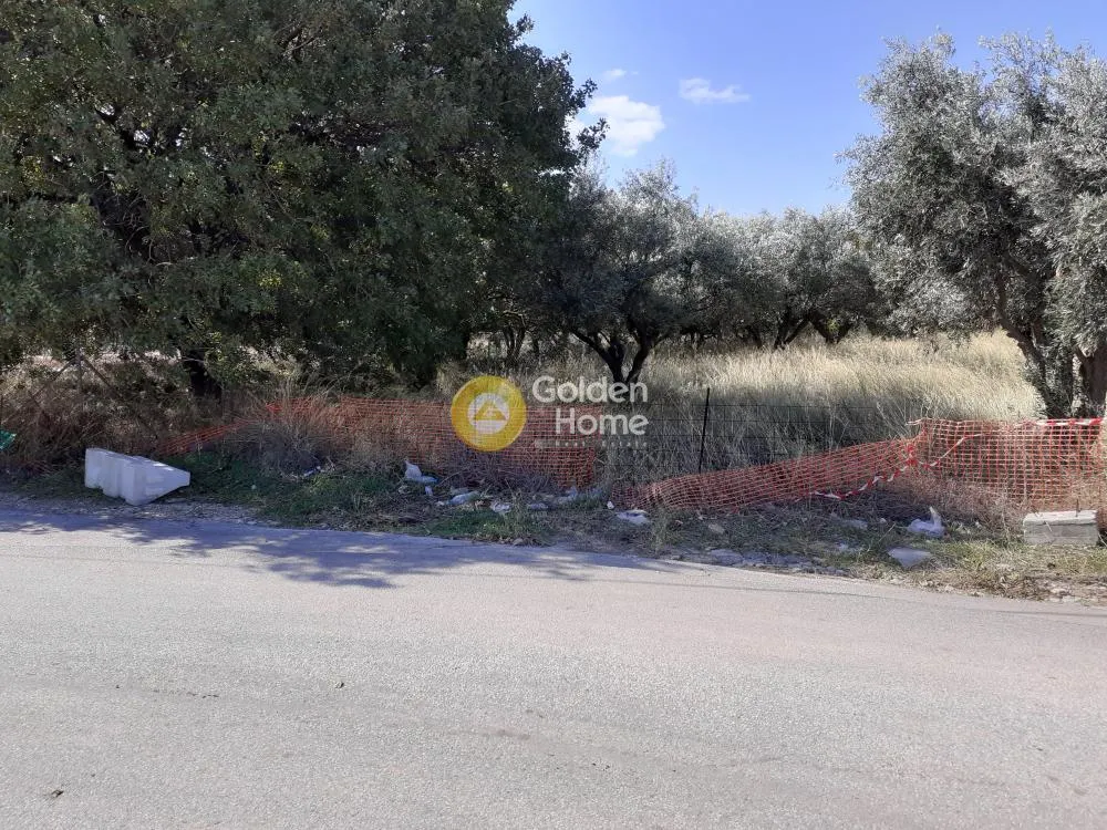 Άλλο.. 2240τ.μ.  - 4