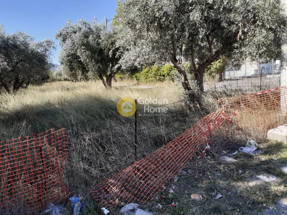 Άλλο.. 2240τ.μ.  - 5