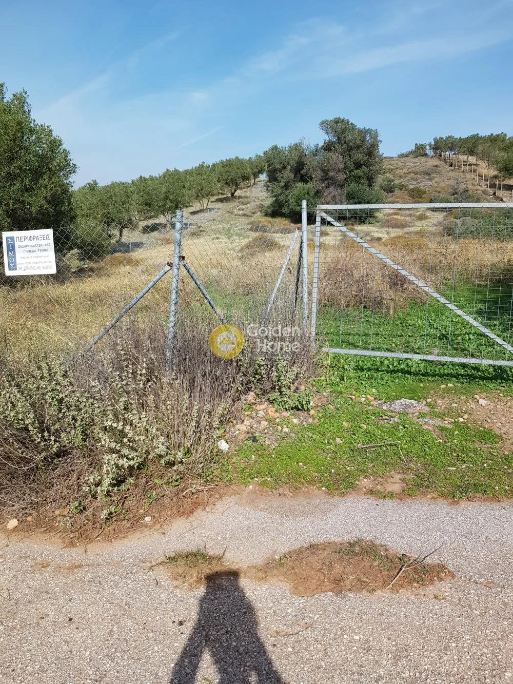 Αγροτεμάχιο 4010τ.μ.  - 2