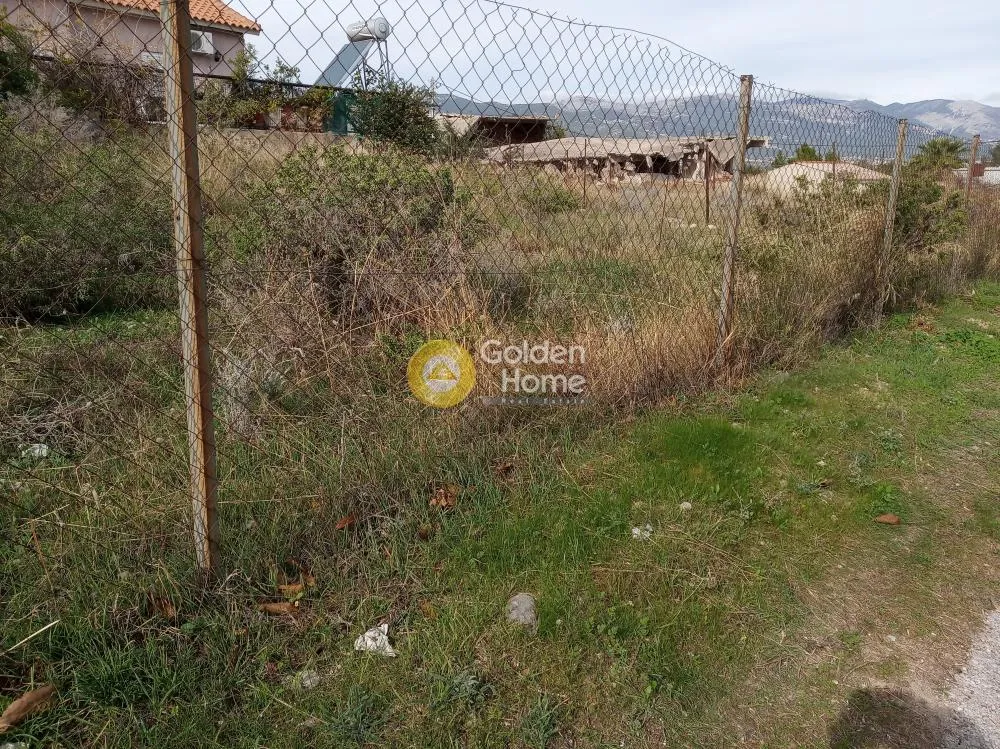 Αγροτεμάχιο 253τ.μ.  - 3