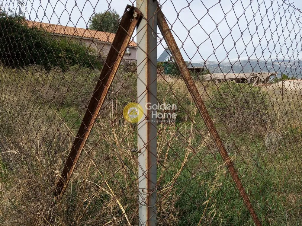 Αγροτεμάχιο 253τ.μ.  - 4