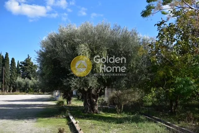 Land Parcel 4448m²  - 3
