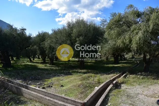 Land Parcel 4448m²  - 4