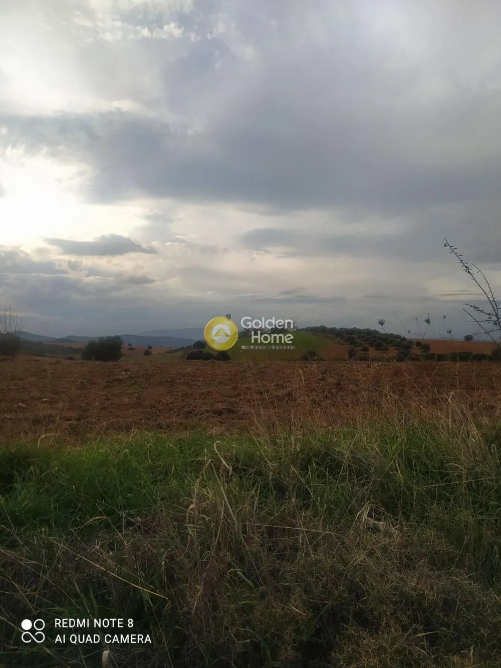 Αγροτεμάχιο 1680τ.μ.  - 5