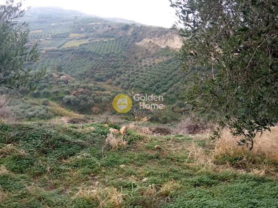 Αγροτεμάχιο 3350τ.μ.  - 5