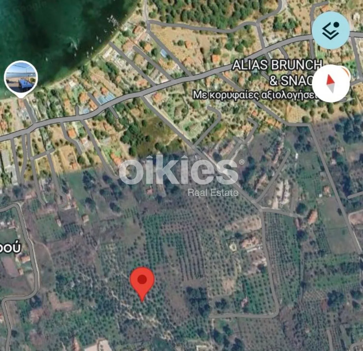 Αγροτεμάχιο 6000τ.μ.  - 2