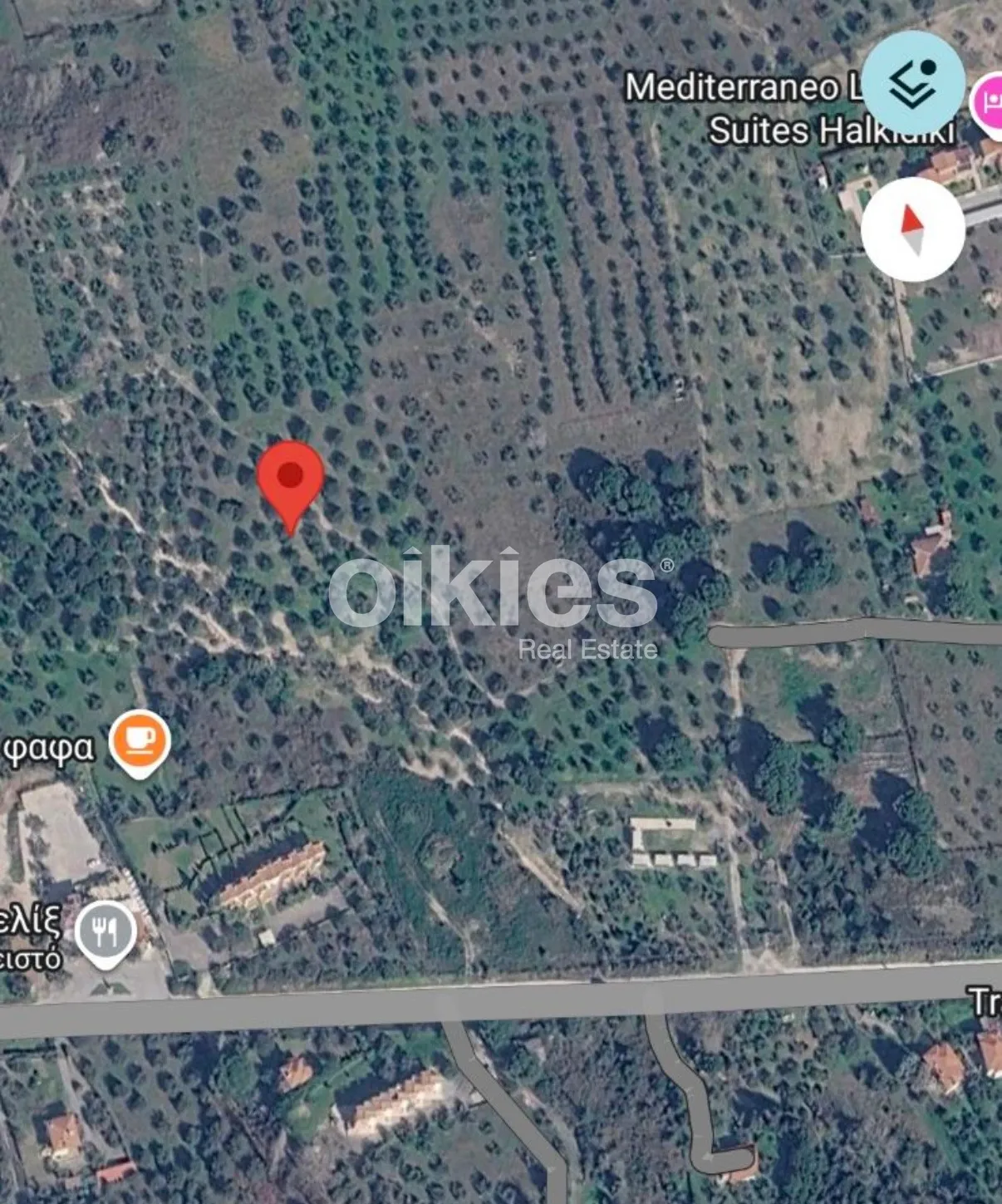 Αγροτεμάχιο 6000τ.μ.  - 3