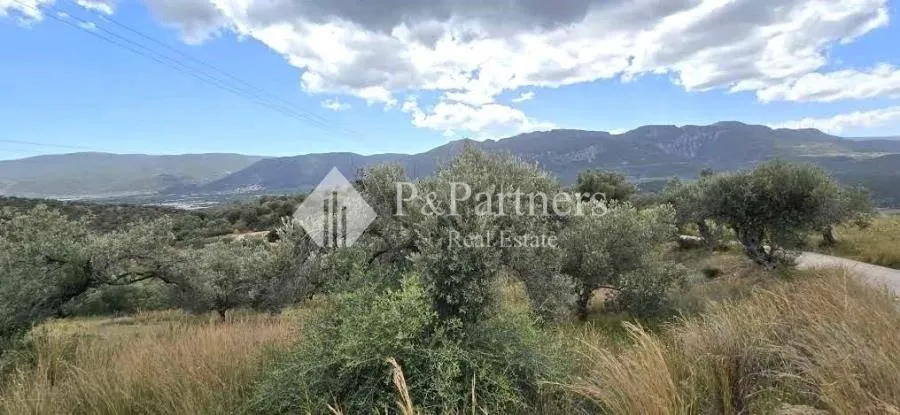 Οικόπεδο 2986τ.μ.  - 3