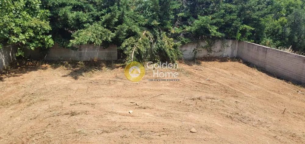 Detached house 660m²  - 4