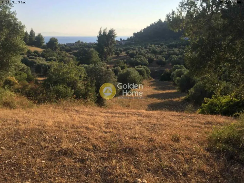 Αγροτεμάχιο 13000τ.μ.  - 4