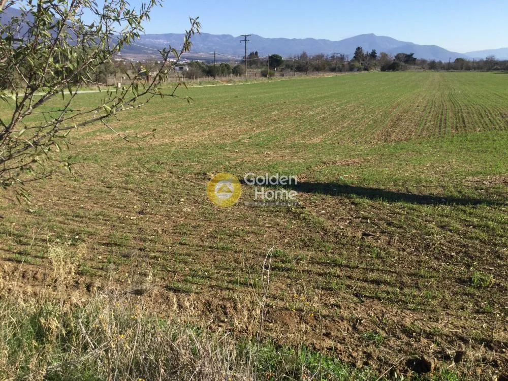 Land Parcel 22185m²  - 2