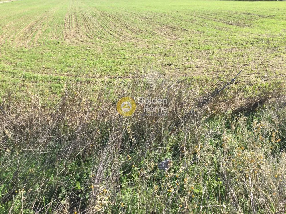 Land Parcel 22185m²  - 3
