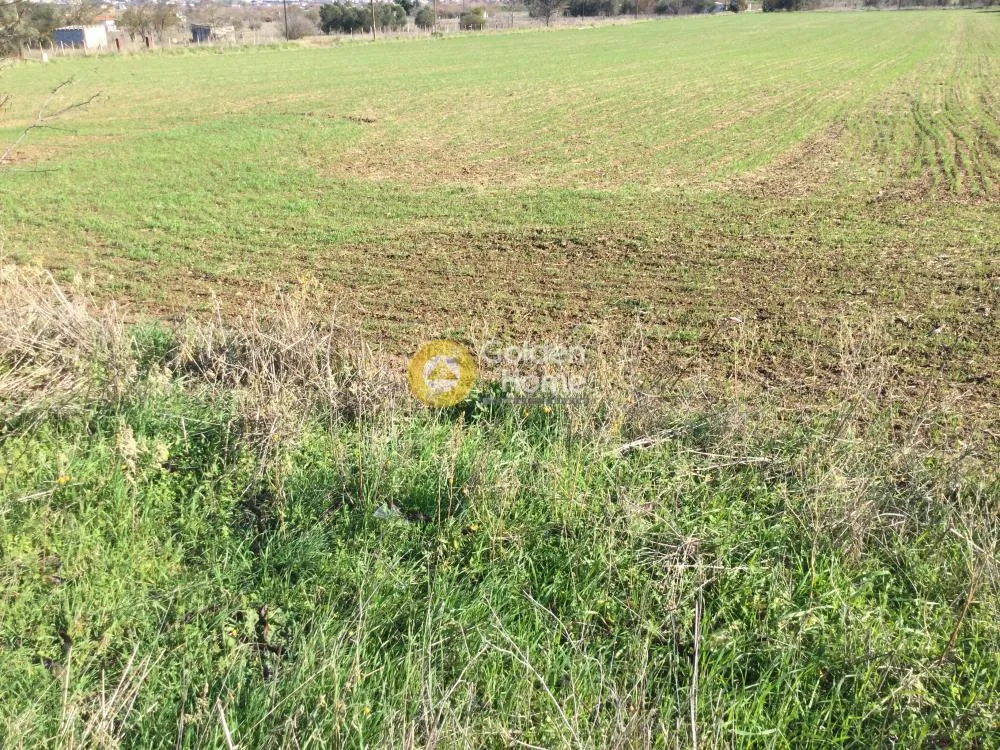 Land Parcel 22185m²  - 4