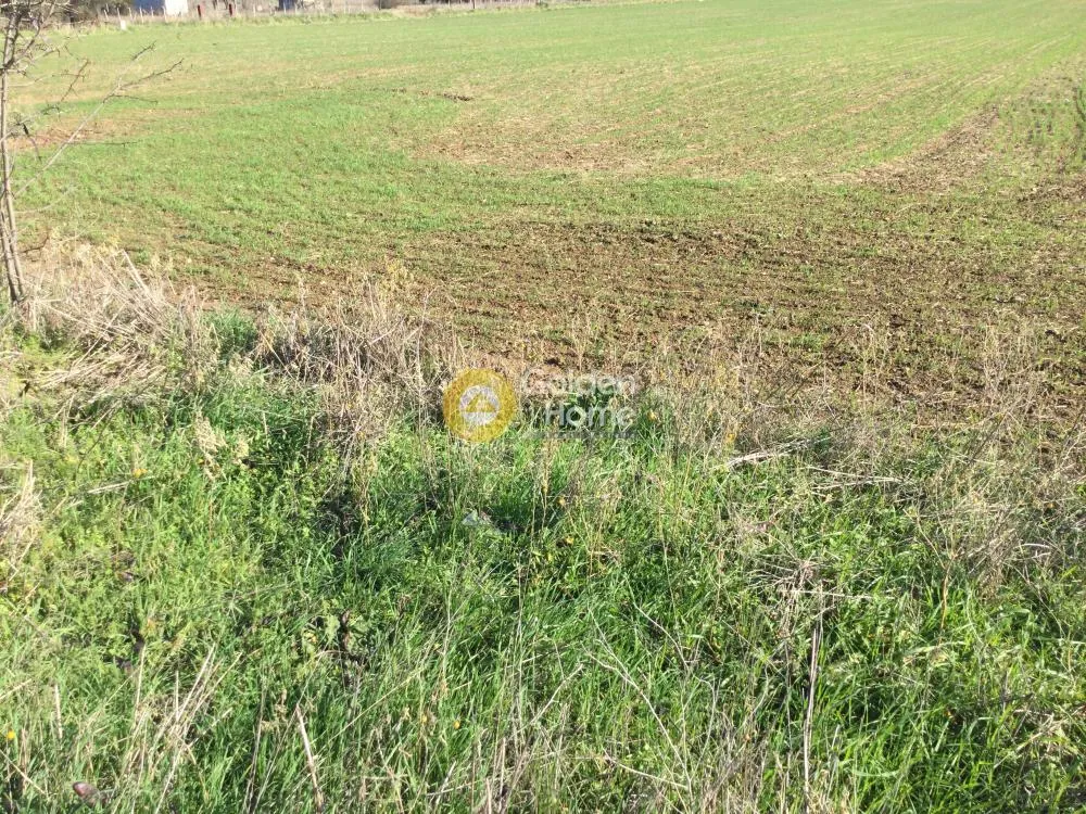 Land Parcel 22185m²  - 5