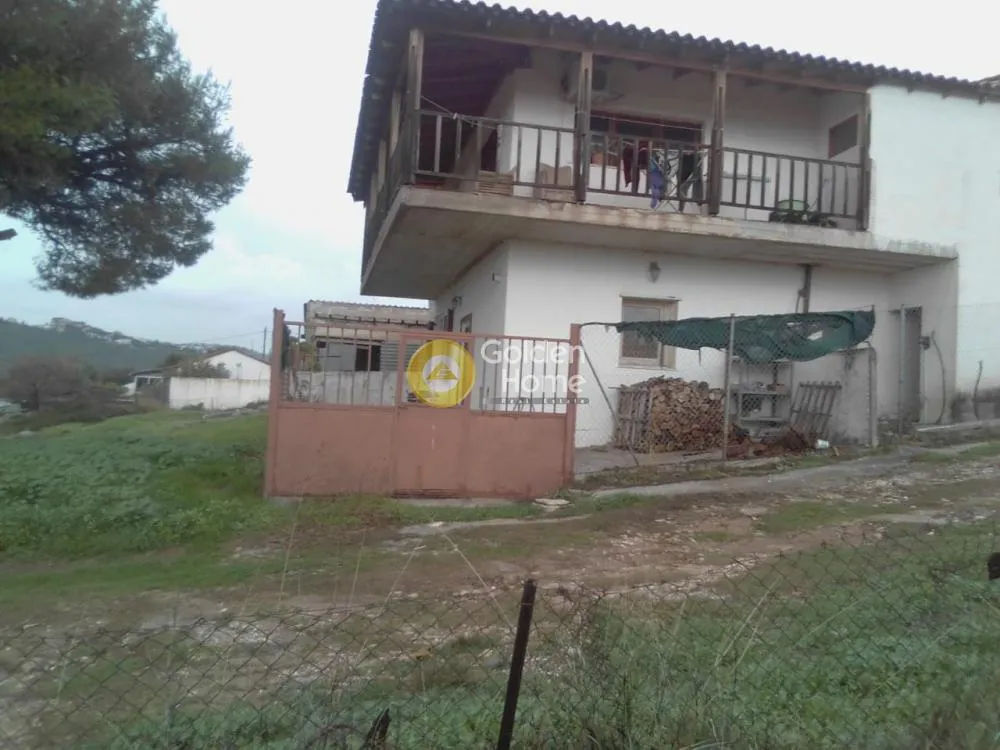 Apartment 60m²  - 2