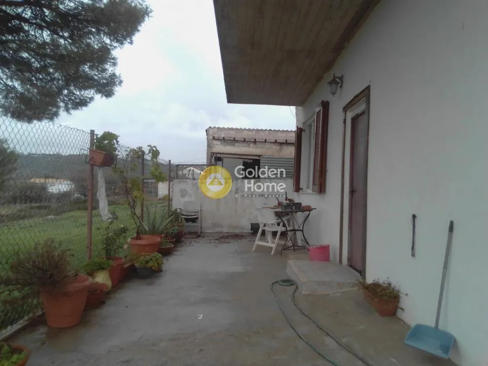 Apartment 60m²  - 3
