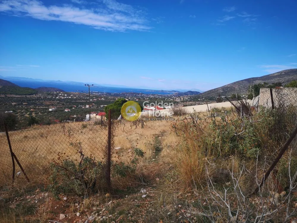 Αγροτεμάχιο 1020τ.μ.  - 5
