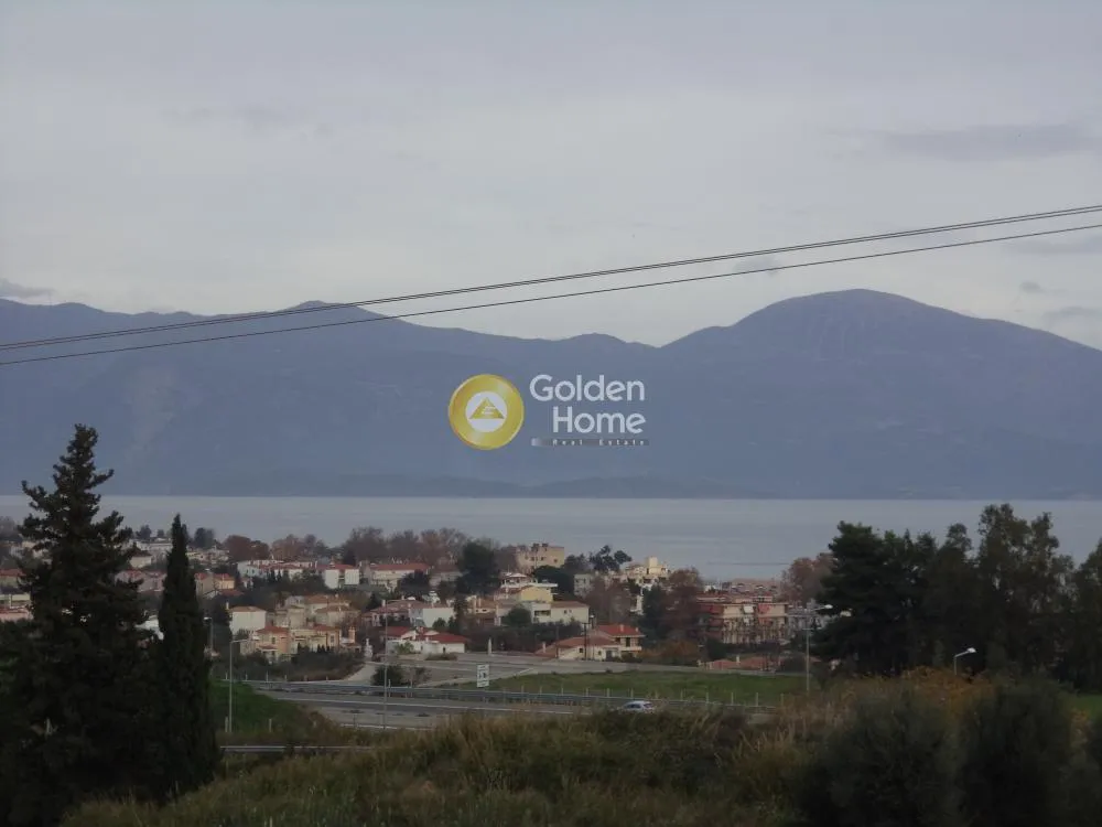 Μεζονέτα 300τ.μ.  - 3