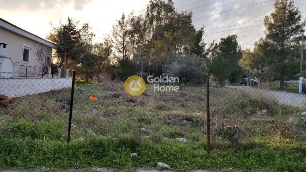 Αγροτεμάχιο 335τ.μ.  - 2