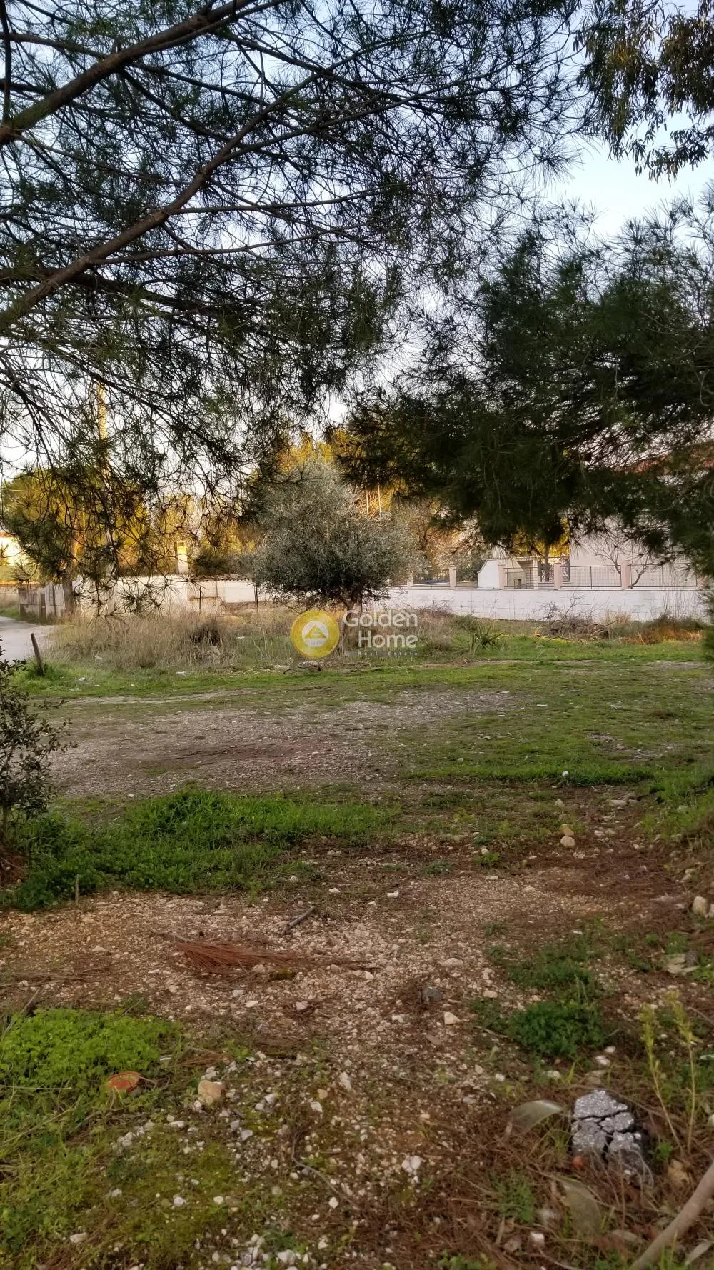 Αγροτεμάχιο 335τ.μ.  - 3