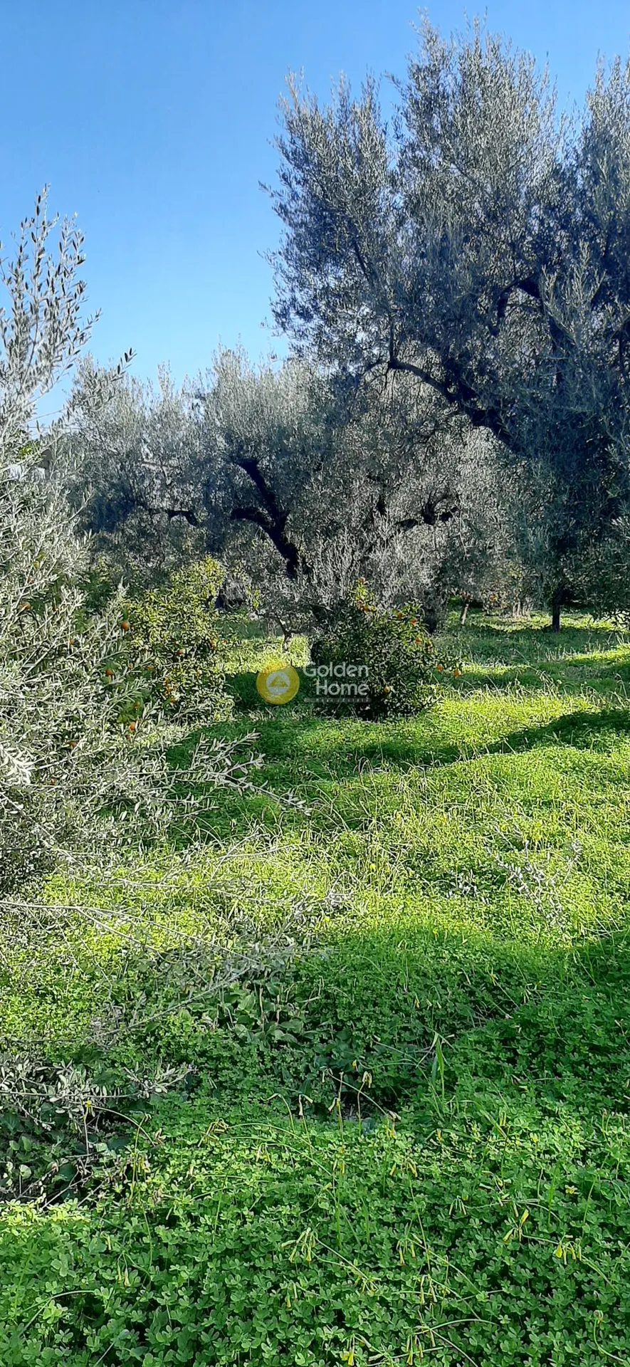 Land Parcel 1607m²  - 2