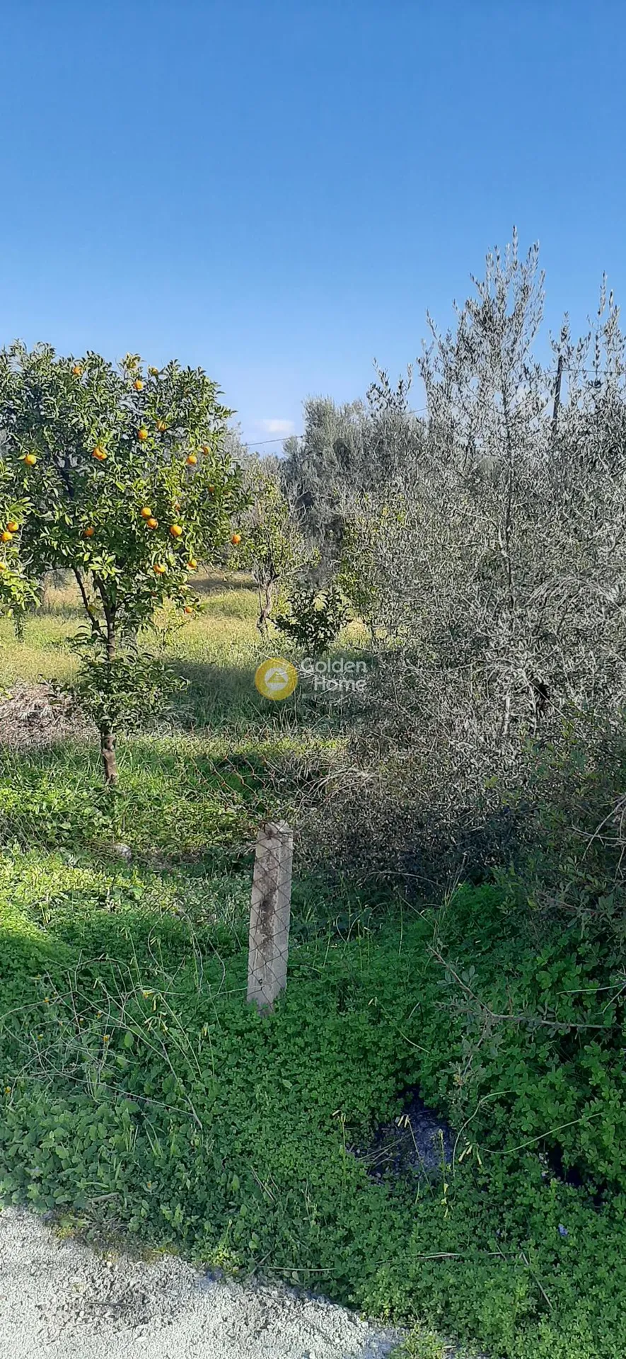 Land Parcel 1607m²  - 3