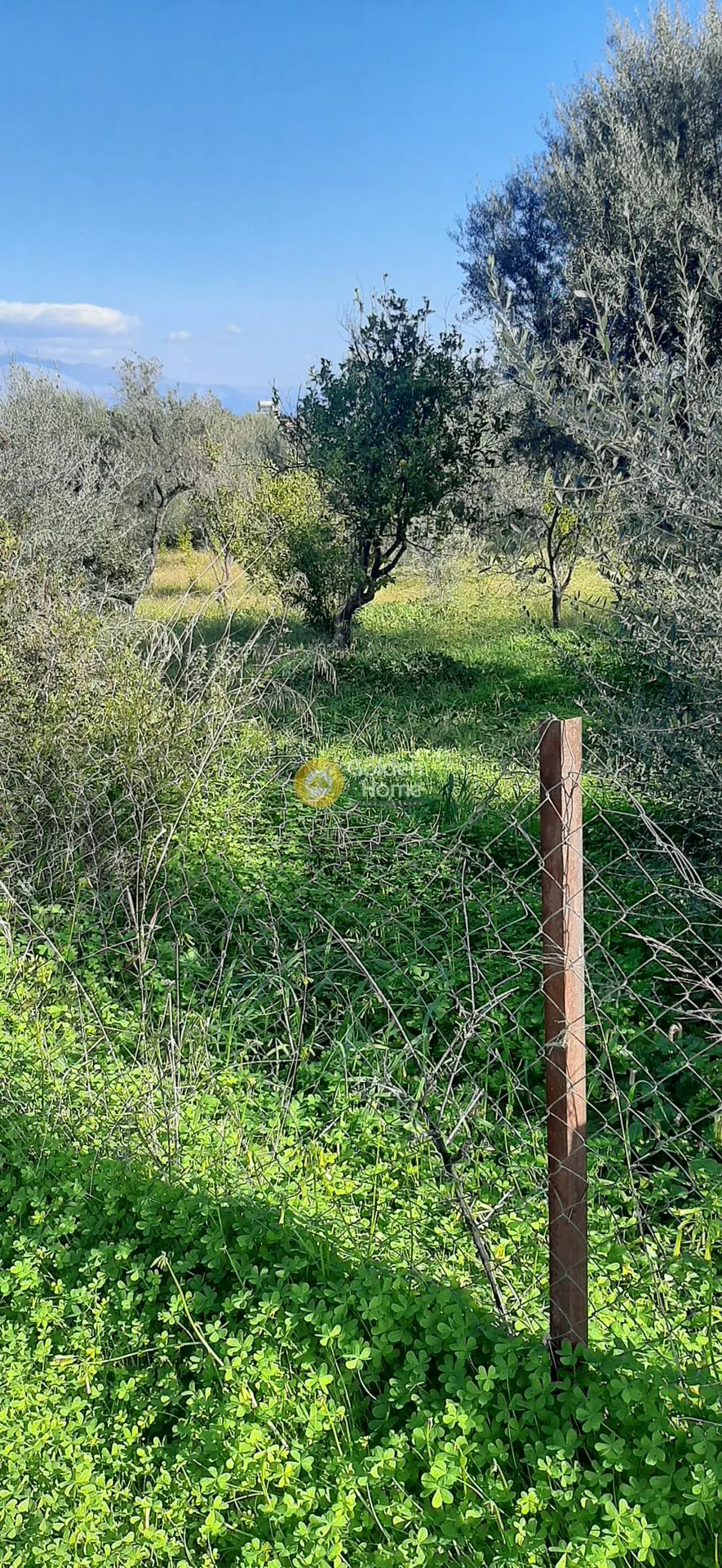 Land Parcel 1607m²  - 4